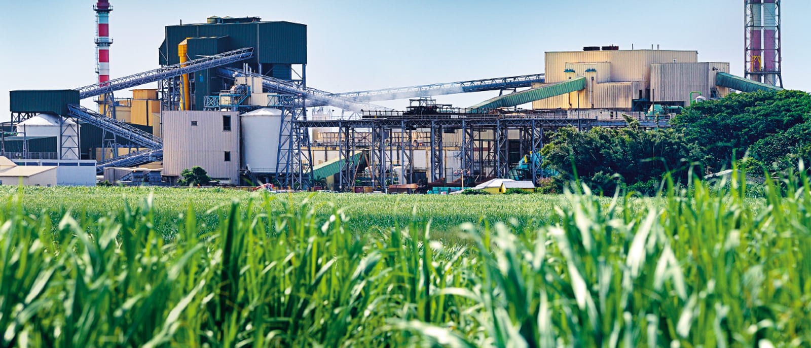 Sugar and ethanol producers across Pakistan